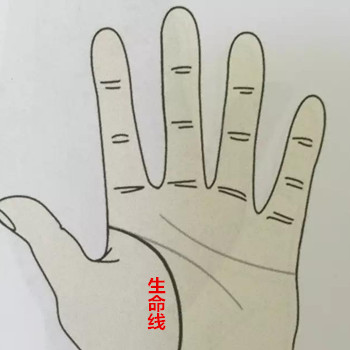 生命线预示着什么运势