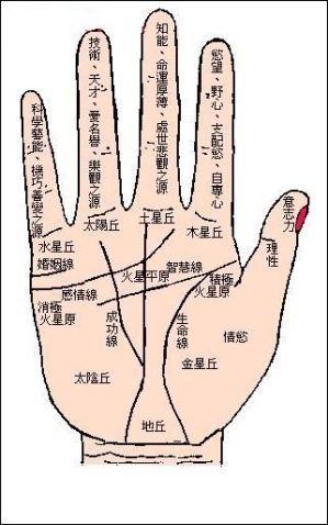 从手相命理来分析恋母情结八字的主要特征