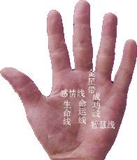 易被甩的五种手相