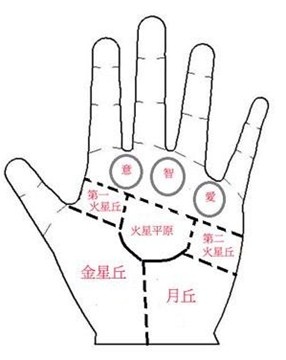 会让旧情人念念不忘的女人手相