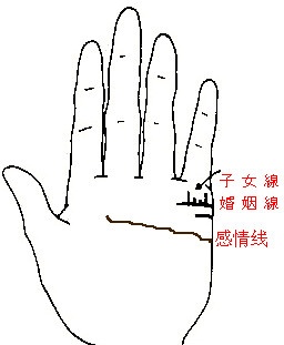 手相子女线看你生子运