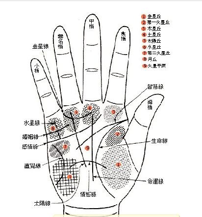 容易漏财的手相什么样