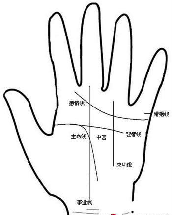手相看外遇情况