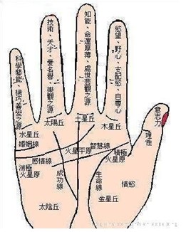 哪些手相是超级闷骚