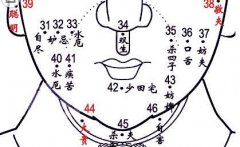 女人脸部下半部分痣相图解析