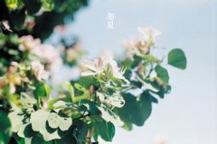 魁罡格历史名人有那些