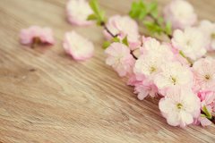 八字合婚对人生的帮助