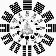 命硬的八字,哪些八字的命会很硬