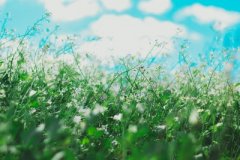 覆灯火命佩戴什么，覆灯火带什么首饰好