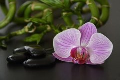 什么命克霹雳火命，霹雳火怕什么