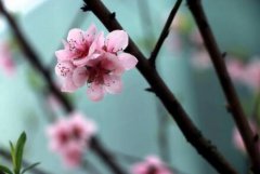 日坐沐浴是什么意思