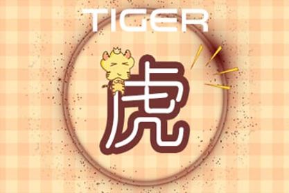 属虎 属虎