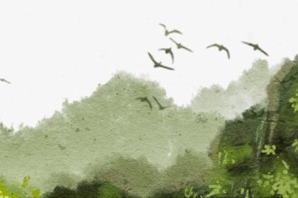 生肖运势 生肖运势