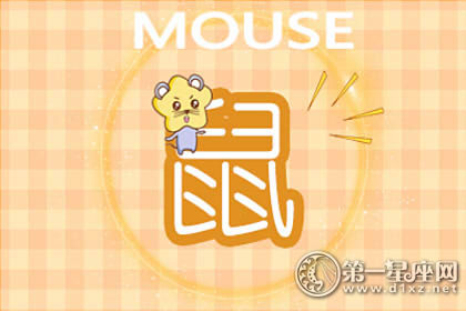鼠 鼠