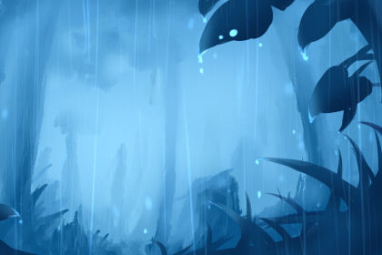 属猴 属猴