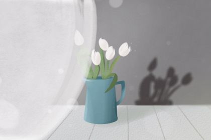属猴 属猴