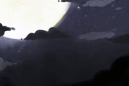 属虎 属虎
