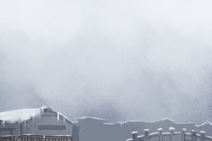属虎 属虎
