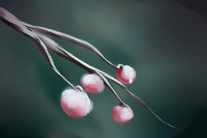 生肖性格 生肖性格