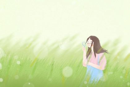 属羊 属羊
