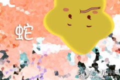 每天就是一副面瘫脸 哪些生肖不爱笑