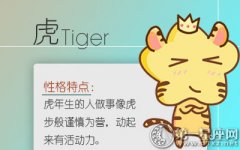 善良不虚伪 说话直来直往的生肖