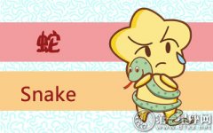 从来都只相信眼见为实的生肖女