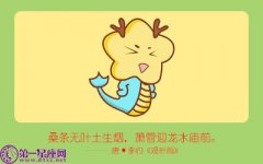 最容易精分的生肖