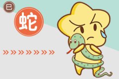 漂亮与能力二者兼备的生肖女