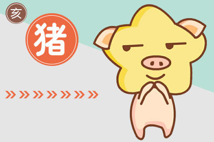 属猪 属猪