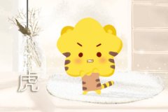 情绪爆炸 会殃及身边人的生肖