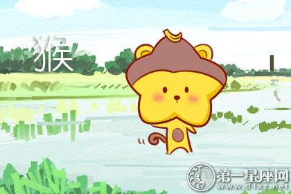 猴 猴