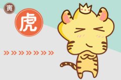 尘世间的逍遥客 这些生肖潇洒至极