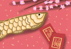 固执己见！这些生肖容易动失人心