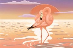 会赚钱任性，自己赚钱自己花的生肖女