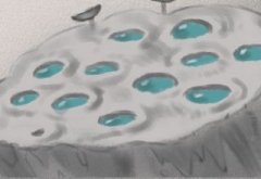 这些生肖小情绪真是难以把控