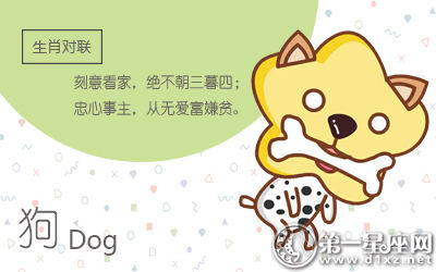 狗 狗