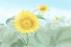12生肖的劫数在几岁，不得不看！