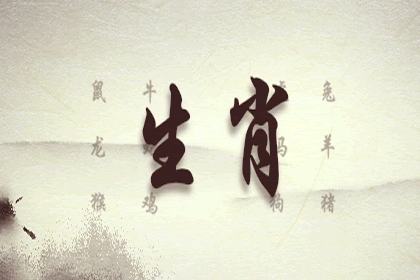 生肖 生肖