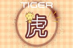 贴心暖男 会照顾另一半感受的生肖男