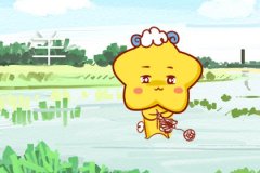 谈恋爱是以结婚为目的的三大生肖女