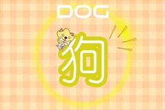 不断碰壁也不怕 恋爱越虐越沦陷的生肖