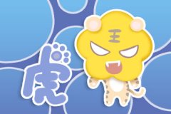 认死理 爱你就会无限迁就你的生肖