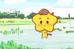 另一半是这些生肖 你会被幸福包围