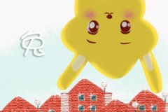 会因为爱情失去原则的生肖