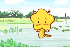 属龙和属羊姻缘怎么样 属龙和属羊的合不合