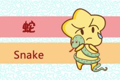 容易情路坎坷和婚姻不顺的生肖女