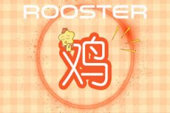 薄情不专 恋爱中容易离开的生肖女