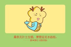 离婚复婚 不出十年情场必会有道坎的生肖