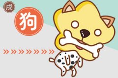 婚姻最好的生肖女 婚后让人羡慕的女生肖